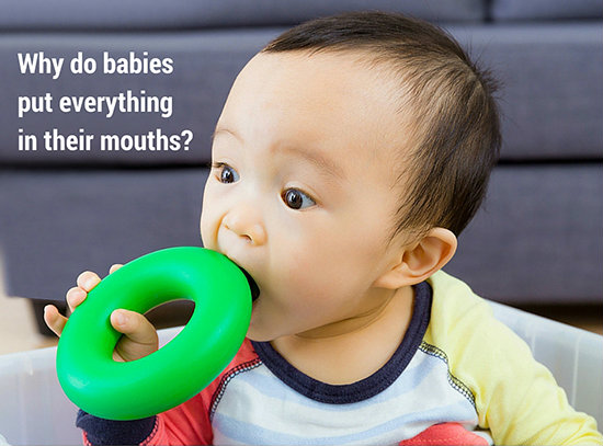 why-do-babies-put-everything-in-their-mouths-ark-therapeutic