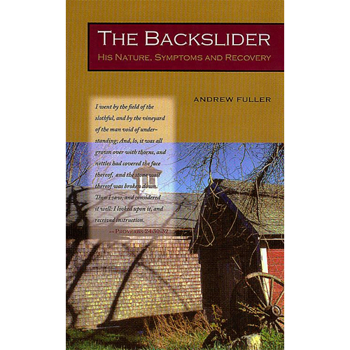 The Backslider by Levi S. Peterson