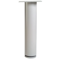 Peninsula Support Leg 3100