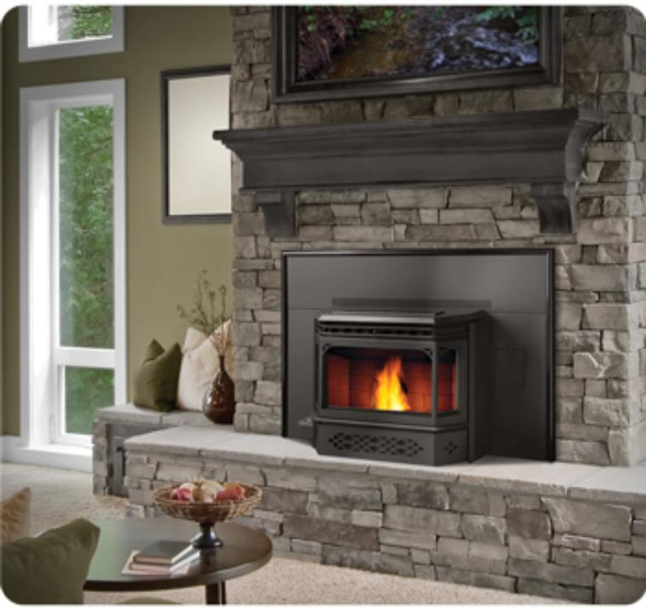 NAPOLEON ECO NPI 45 PELLET BURNING FIREPLACE INSERT