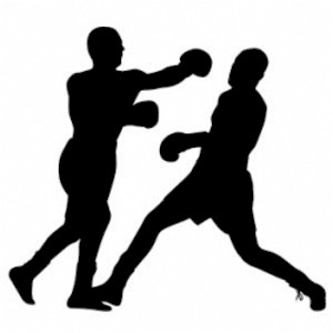 Two Guys Boxing Decal