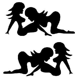 Trucker Guy Decal mudflap Beer Truck Jeep woman girl ca