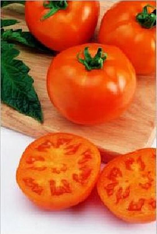 goliath tomato seeds