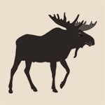 Black Moose Country Store