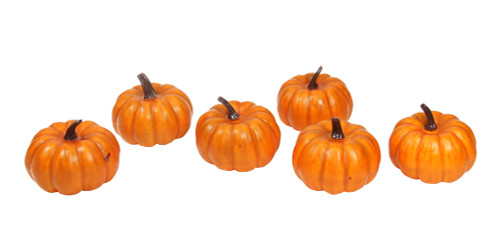 Xss Harvest | pack of 6 thanksgiving fall harvest bright orange Xss Harvest | pack of 6 thanksgiving fall harvest bright orange