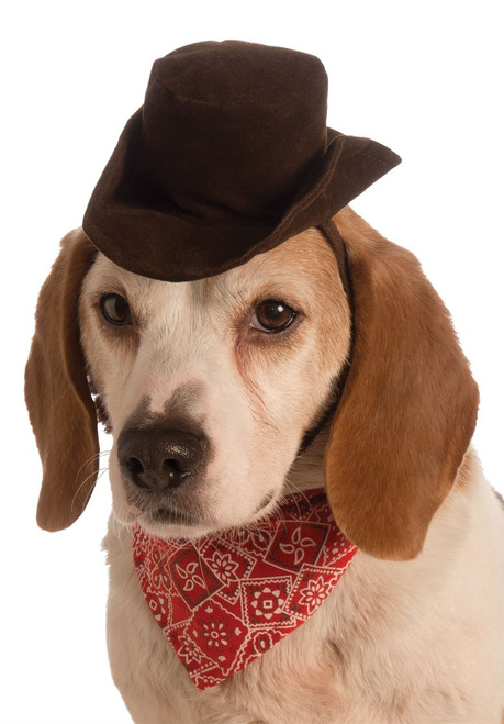 pet dog cowboy hat and scarf halloween costume