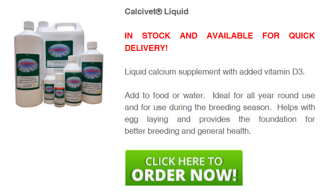 calcivet-order-online-now.jpg