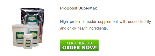 pbsm-vitamin-supplement-for-birds.jpg