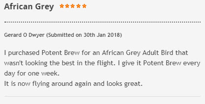 potent-brew-review.jpg