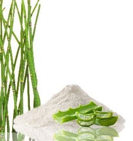 aloevera-2a.jpg