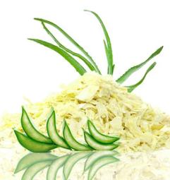 aloevera-8a-241x255.jpg