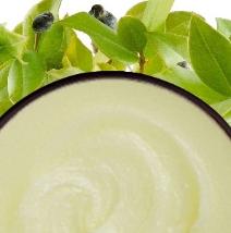 grow-new-hair-shampoo-1a-212x214.jpg grow-new-hair-shampoo-1a-212x214.jpg