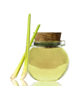 lemongrass-oil-2a.jpg