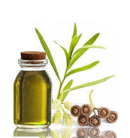 olive-oil-2a.jpg