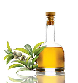 tea-tree-oil-1a.jpg