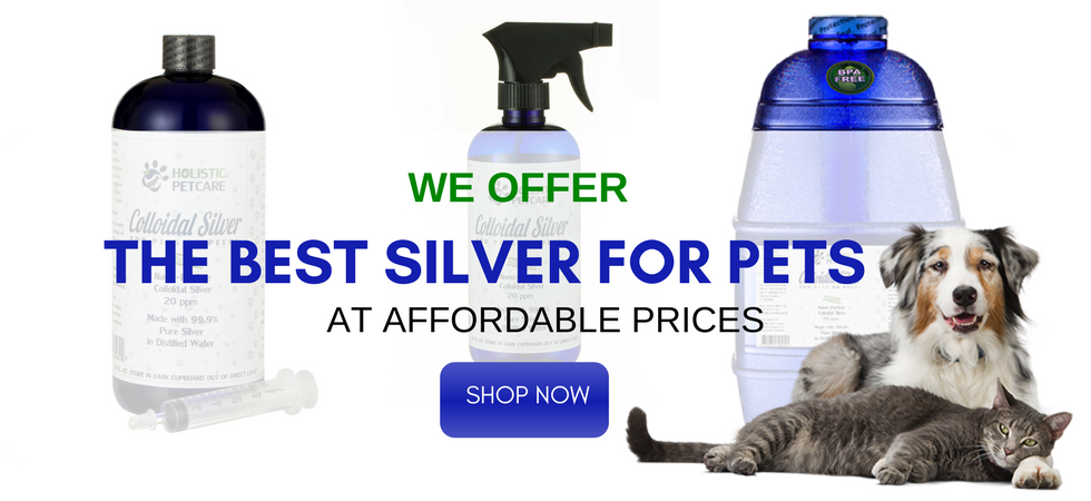 Hyperthyroidism Cats Treatment Naturally Hyperthyroidism Cats Treatment Naturally