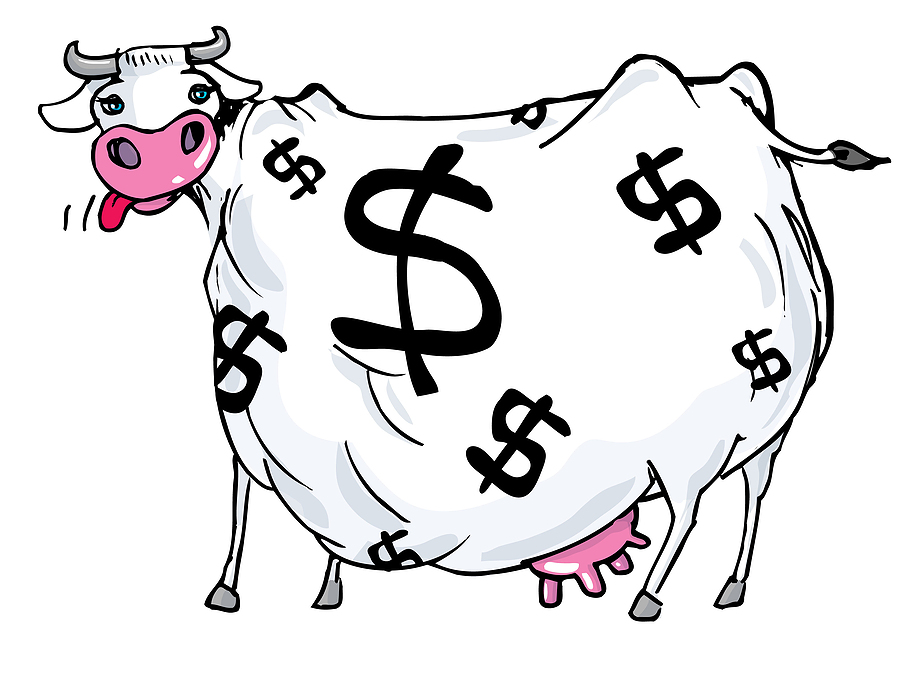 cash-cow