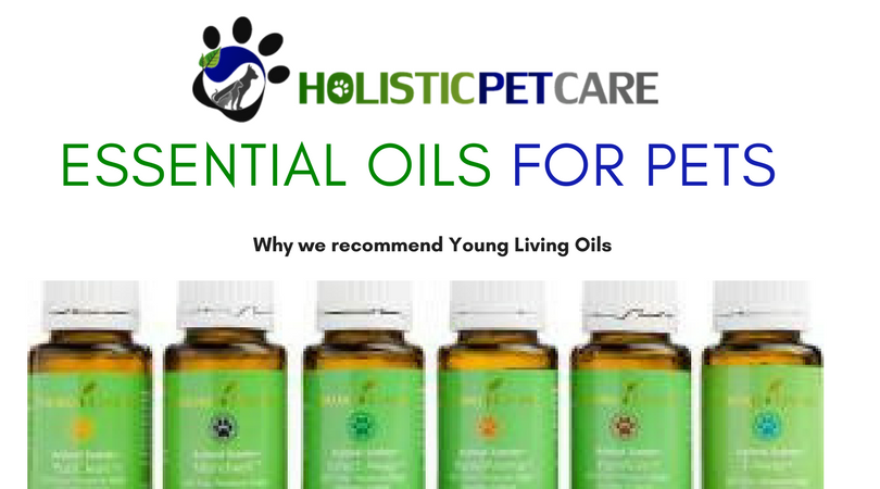 essential-oils-for-pets-1-.png essential-oils-for-pets-1-.png