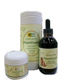 fourguardgroupphoto.jpg fourguardgroupphoto.jpg