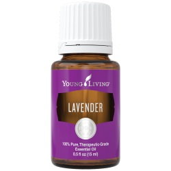 lavender.jpg lavender.jpg