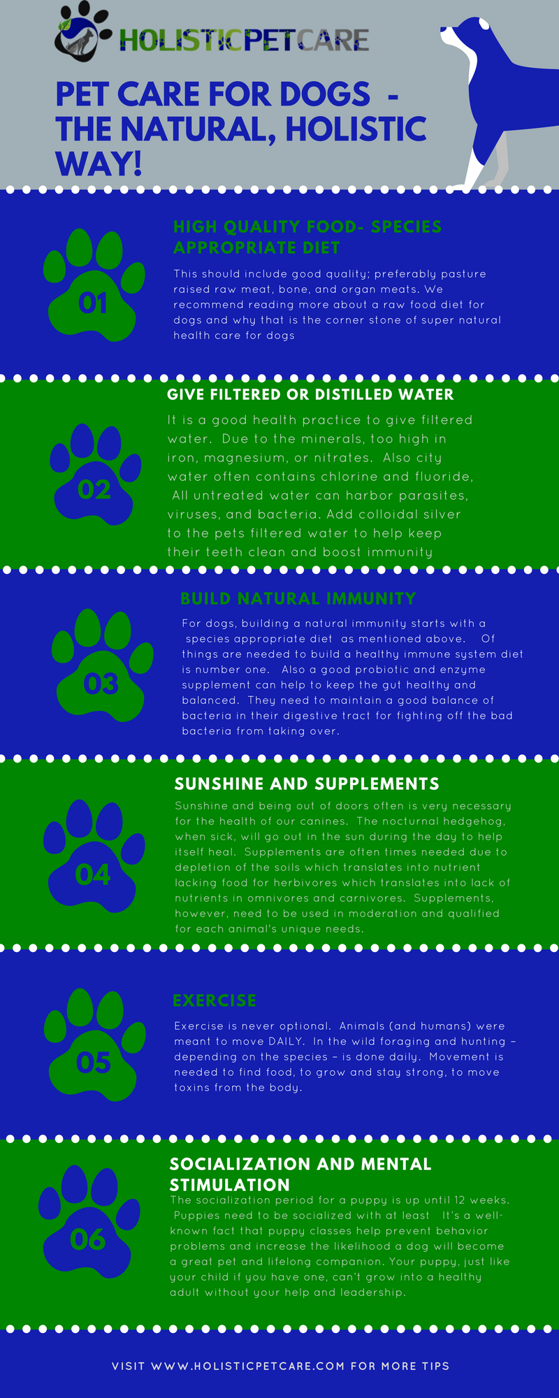 Holistic Pet Care For Dogs Exploring All Natural Dog Care Holistic holistic-pet-care-for-dogs-exploring-all-natural-dog-care-holistic