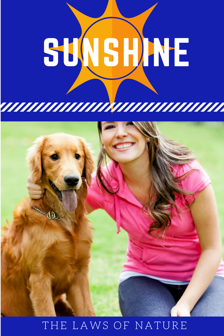 Sunshine-laws of nature Sunshine-laws of nature