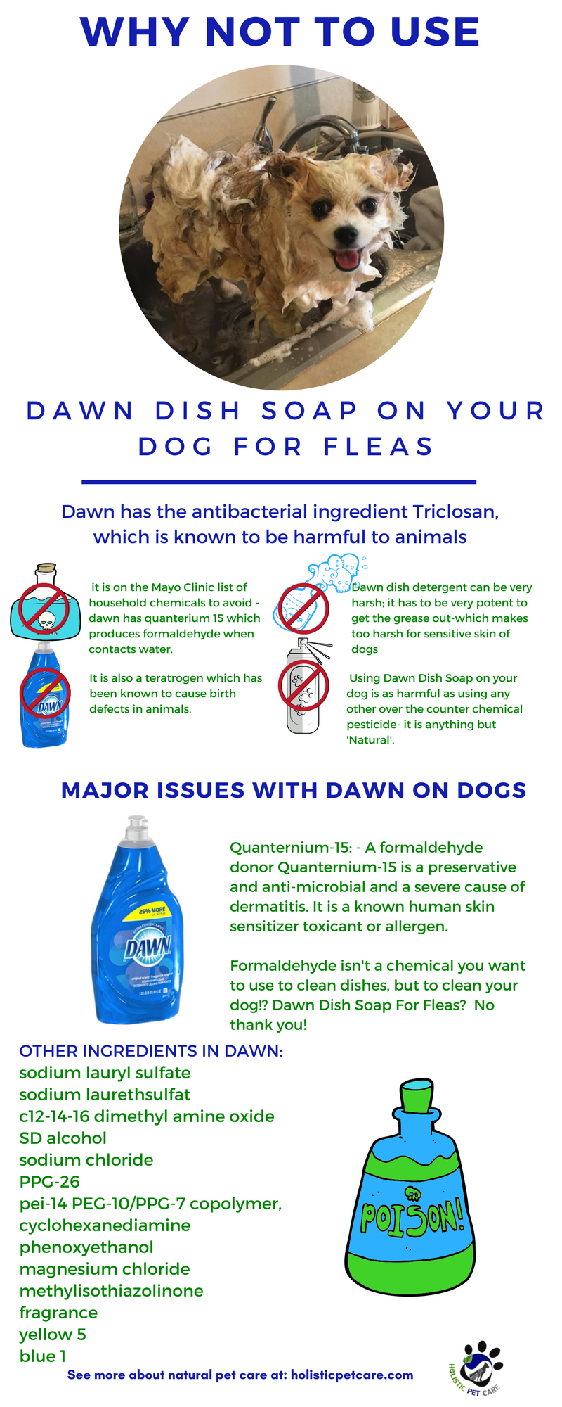 I love My Dog; Natural Pet Health, Do Not use Dawn Dish soap on your