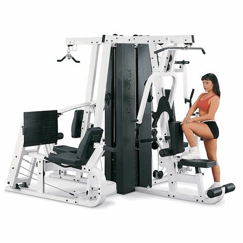 Body Solid Multi Gym