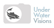 uwv-logo.jpg