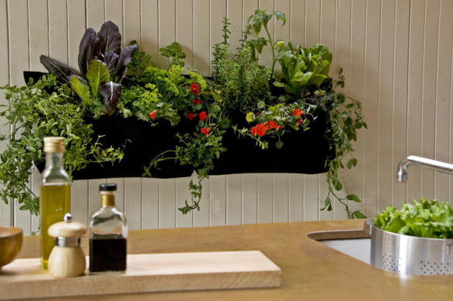 All You Need to Know about Starting An Indoor Garden