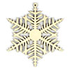 cold-snap-snowflakes-3-thumb-1.jpg