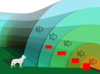 PAC F8C Invisible Small Dog/Cat Fence Kit (Up to 20 Acres) &mdash; warning and correction zones along the boundary