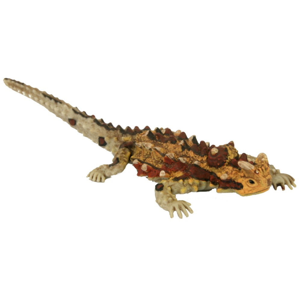 Thorny Devil - MiniZoo