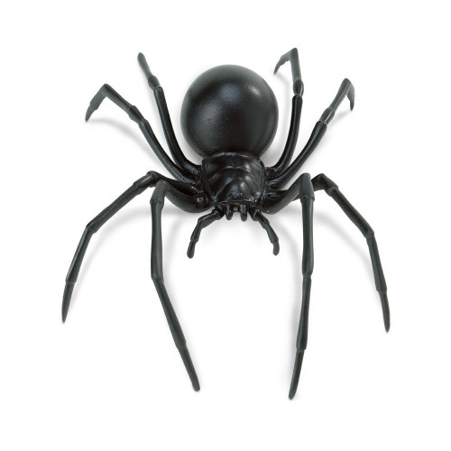 Black Widow Spider Jumbo