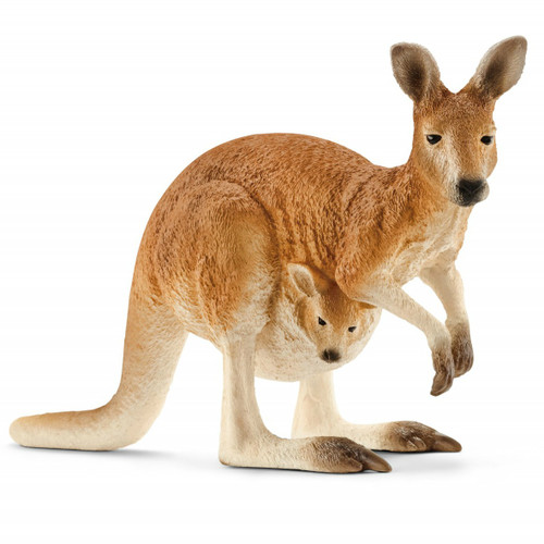 Kangaroo Female