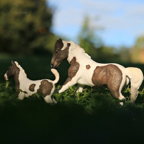 Curly Mare CollectA