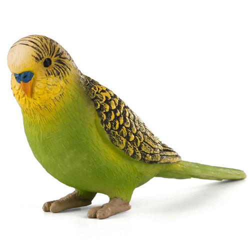 Green Budgerigar Mojo
