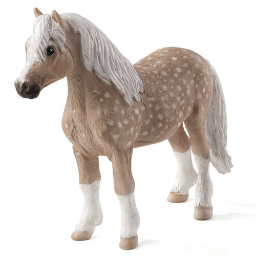 Welsh Pony