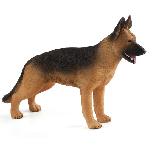German Shepherd Mojo