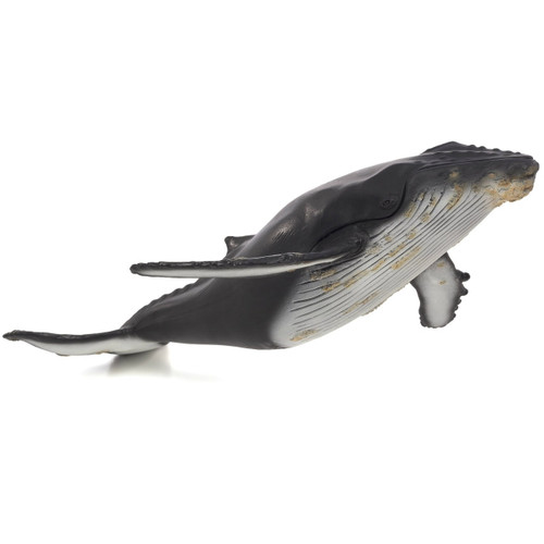 Humpback Whale Deluxe