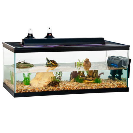 Red Ear Slider Turtle Tank Decor Ideas Red Ear Slider Turtle Tank Decor Ideas