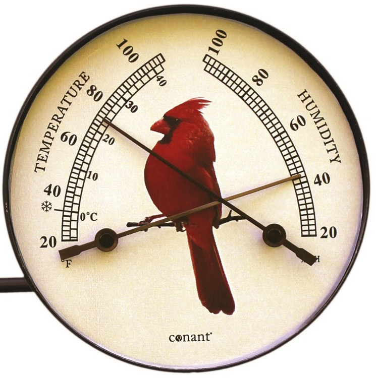 Cardinal Window Thermometer
