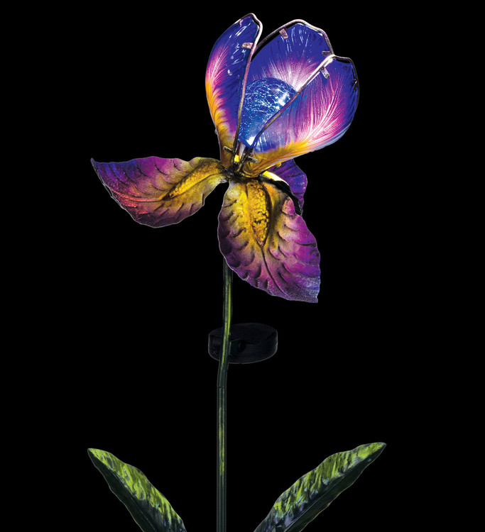 Solar Iris Stake - Purple
