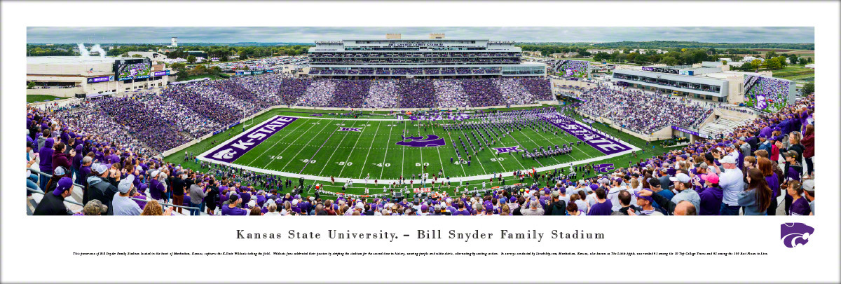 Snyder Family Stadium Seating Chart