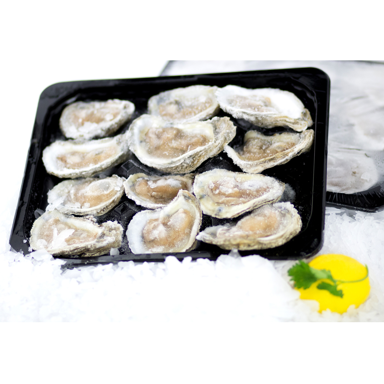 Packaged oysters over ice with garnish