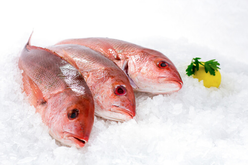 Three raw whole fish over ice with garnish