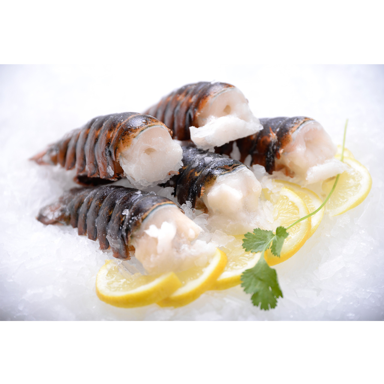 cold water lobster tails