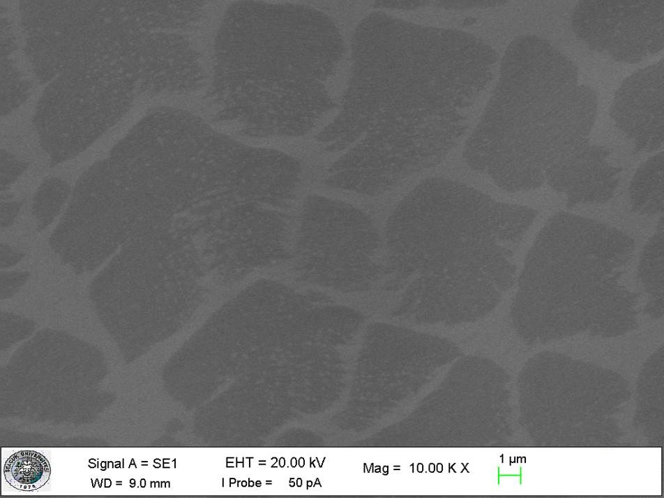 nanografi-cvd-graphene-monolayer-graphene-on-sio2-si-substrate-sem-image2.jpg