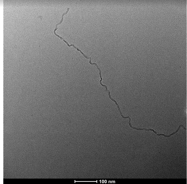 nanografi-nanofibrilated-cellulose-tem-image.png