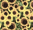 Packed Sunflowers Fabric Swatch